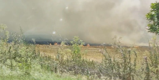 UPDATE - Incendiu de pe marginea DN 1, între Ploieşti şi Braşov, a fost lichidat - VIDEO