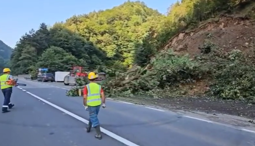 Ministrul Transporturilor prezintă stadiul lucrărilor pe Valea Oltului: În prima zi au fost tăiaţi peste 800 din cei 20.000 de arbori aflaţi în zona critică a versantului. Au fost asigurate traseele pentru accesul la parcelele din zonele înalte