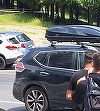 Prahova: Urs văzut în pasul Bratocea, la locul de plecare spre Vârful Ciucaş. Salvamontiştii îi îndeamnă pe turiştii aflaţi în zonă să fie prudenţi - FOTO
