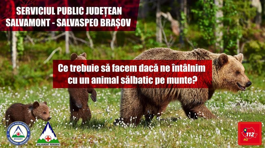 Oficial Salvamont: Am constatat cu îngrijorare că peste 90% dintre persoanele care ne-au apelat nu ştiau cum să reacţioneze în cazul întâlnirii cu animalele sălbatice/ Sfaturi pentru cei care merg pe munte