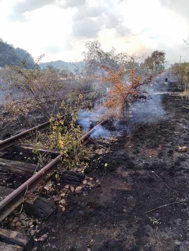 UPDATE - Traficul feroviar, oprit pe două sectoare din Regionalele Bucureşti şi Craiova, din cauza unor incendii de vegetaţie/ Cinci trenuri au staţionat în gări din aceste zone/ Circulaţia, reluată - FOTO, VIDEO