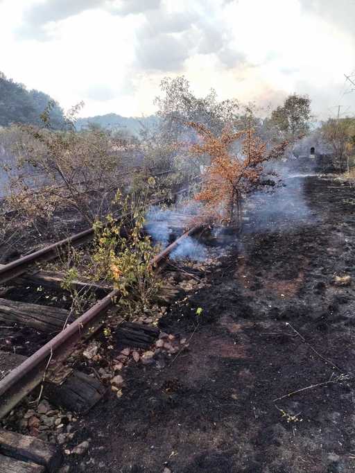 UPDATE - Traficul feroviar, oprit pe două sectoare din Regionalele Bucureşti şi Craiova, din cauza unor incendii de vegetaţie/ Cinci trenuri au staţionat în gări din aceste zone/ Circulaţia, reluată - FOTO, VIDEO