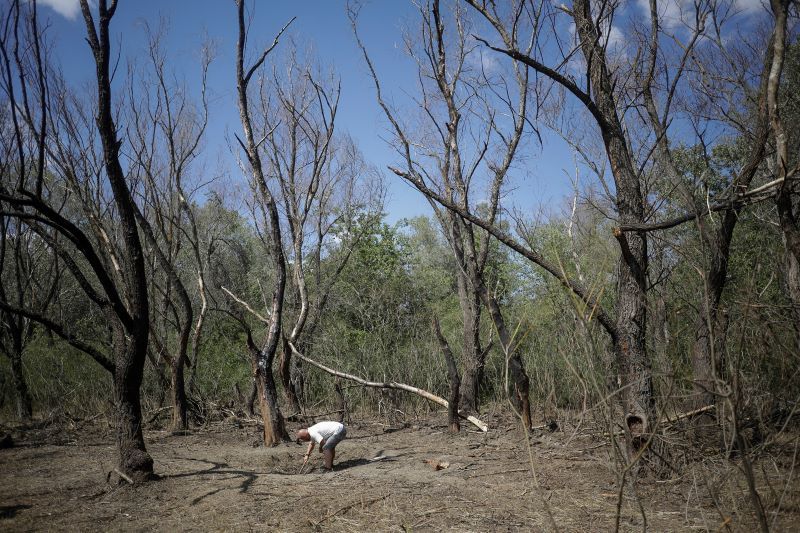 Ministerul Apărării: Miercuri, s-au confirmat elemente de dronă şi în zona localităţii Ceatalchioi din judeţul Tulcea / S-au pus în aplicare procedurile operaţionale standard pentru astfel de situaţii