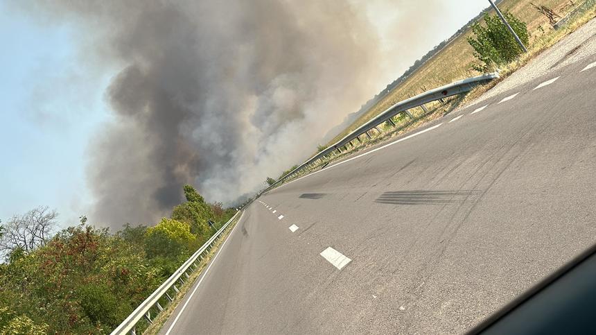 UPDATE - Puternic incendiu de vegetaţie în judeţul Dolj, în apropierea DN 6/ Degajări mari de fum/ Traficul, reluat - FOTO / VIDEO