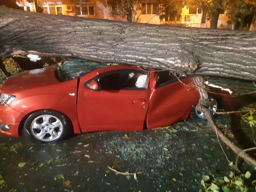 Galaţi - Copac căzut peste autoturisme şi curţi inundate, în urma precipitaţiilor şi vântului din ultimele ore - FOTO