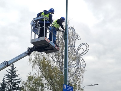 Primăria Braşov a început montarea iluminatului festiv pentru sărbători. Aproximativ 1,3 milioane de luminiţe vor  împodobi oraşul 
