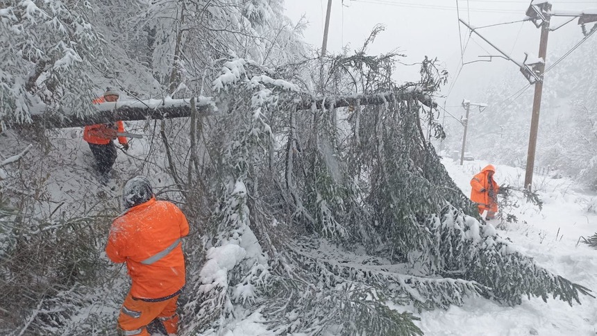 Traficul feroviar, afectat de vântul puternic, ploi şi ninsori viscolite, în judeţele aflate sub coduri meteo/ Probleme în circulaţie în Regionalele CF Iaşi şi Braşov, după ce mai mulţi copaci au căzut pe calea ferată