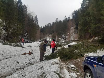 Braşov: Viscolul din ultimele ore a doborât arbori care au blocat poteci în zona montană. Salvamontiştii au înlăturat pomii prăbuşiţi/Recomandări pentru turişti din partea salvatorilor montani FOTO