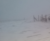 UPDATE - Ninsoare şi vânt puternic în zona montană a judeţului Cluj/ Vizibilitate sub 100 de metri. Avertizarea meteorologilor, valabilă până la ora 2.00, în noaptea de sâmbătă spre duminică/ Avertizări similare şi pentru Maramureş şi Bistriţa-Năsăud 