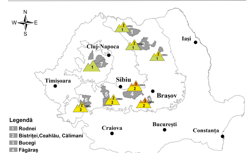 Risc însemnat de producere a avalanşelor în zonele înalte din Munţii Făgăraş şi Bucegi, până în seara de Crăciun / Va continua să ningă, iar vântul va sufla cu putere, depăşind 110 kilometri la oră