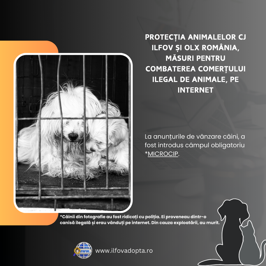 Măsuri pentru combaterea comerţului ilegal de animale, pe internet: OLX a introdus seria de microcip, câmp obligatoriu pentru vânzările de câini/ Care a fost consecinţa acestui demers