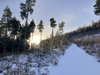 Meteorologii prognozează pentru luna ianuarie temperaturi uşor mai ridicate decât cele obişnuite