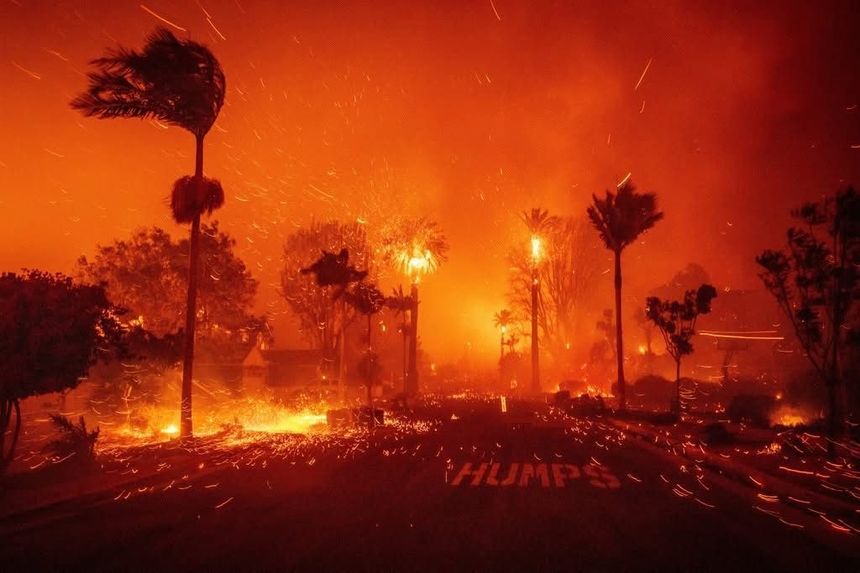 Consulatul General al României la Los Angeles publică liste cu centre de evacuare şi adăposturi pentru animale, pentru cei afectaţi de incendiile de vegetaţie