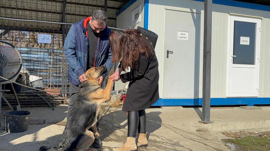 Hunedoara: O căţeluşă care a dispărut în Ajun de Crăciun, după ce s-a speriat de petarde, a fost găsită după o lună şi jumătate / Animalul, căutat de copiii proprietarilor, ajunsese într-un adăpost, fotografia fiind distribuită chiar de către poliţişti

