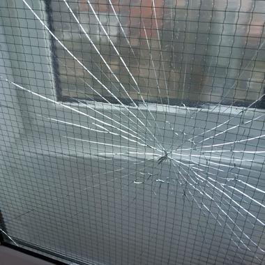 Amenzi de aproape 200.000 de lei după controale ANPC în 82 de campusuri universitare. Au fost găsite produse expirate şi mobilier deteriorat / Preşedintele ANPC: Voi, cei care aţi ales să fiţi iresponsabili sau nesimţiţi, veţi suporta consecinţele!  