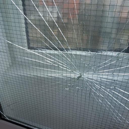 Amenzi de aproape 200.000 de lei după controale ANPC în 82 de campusuri universitare. Au fost găsite produse expirate şi mobilier deteriorat / Preşedintele ANPC: Voi, cei care aţi ales să fiţi iresponsabili sau nesimţiţi, veţi suporta consecinţele!  