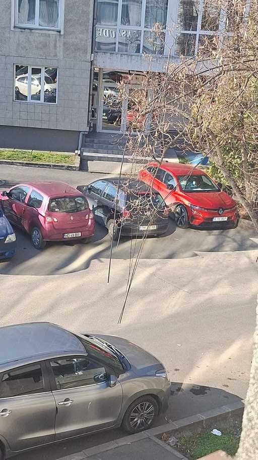 Casa de Pensii Timiş nu îşi poate desfăşura activitatea, după ce Primăria a tăiat cablurile de internet de pe stâlpii din faţa instituţiei/ Primăria afirmă că operatorii au obligaţia de a-şi anunţa abonaţii privind această acţiune