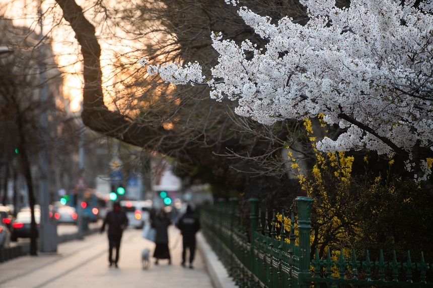 Meteorologi: Temperaturi mai ridicate decât cele specifice perioadei, inclusiv la începutul lunii aprilie