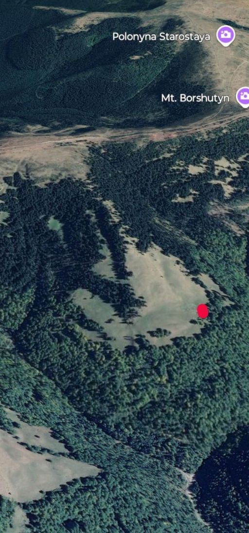 UPDATE - Intervenţie a Salvamont Maramureş pentru găsirea a doi ucraineni, în Munţii Maramureşului/ Aceştia s-au rătăcit şi au fost prinşi de furtună, fiind uzi, în uşoară hipotermie şi fără hrană/ Ei au fost coborâţi în siguranţă de pe munte