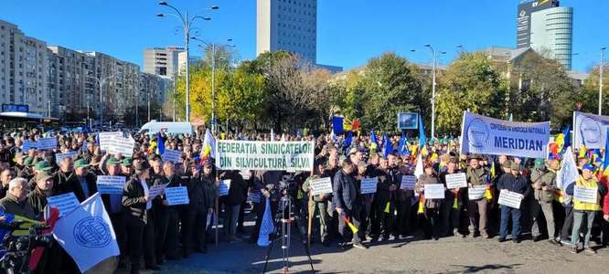 Miting al silvicultorilor în Bucureşti: Guvernul a tăiat salarii şi drepturi consfinţite prin legi, umilind 25.000 de angajaţi din sectorul silvic românesc / REVENDICĂRI
