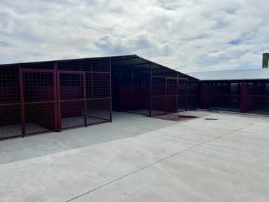 Capacitatea de cazare a adăpostului ASPA Mihăileşti, mărită / Ţarcuri comune mari şi spaţioase pentru câini, dar şi un loc de joacă pentru patrupede, în urma lucrărilor care au durat două luni - FOTO