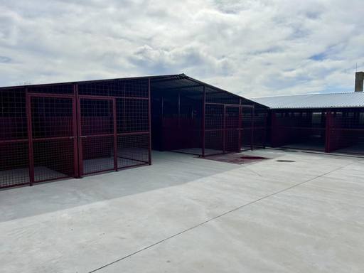 Capacitatea de cazare a adăpostului ASPA Mihăileşti, mărită / Ţarcuri comune mari şi spaţioase pentru câini, dar şi un loc de joacă pentru patrupede, în urma lucrărilor care au durat două luni - FOTO