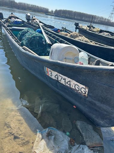 Amenzi de aproximativ 465.000 de lei şi unelte de pescuit, inclusiv ambarcaţiuni, confiscate în urma unor controale ale Gărzii de Mediu/ Peste 5 tone de peşte, scoase de pe piaţă pentru neconformităţi