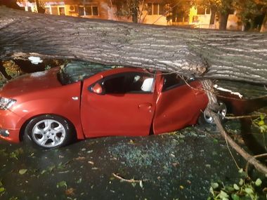 Pompierii din Bucureşti-Ilfov au intervenit la aproape 120 de situaţii cauzate de vremea rea / Peste 40 de copaci au fost dărâmaţi de vânt, iar 20 de maşini au suferit avarii / O persoană a fost rănită uşor de căderea unui copac 
