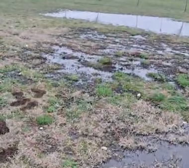 O conductă de petrol a Conpet s-a spart şi a poluat o porţiune din Parcul Municipal Ploieşti Vest/ Anunţul primarului