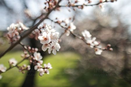 Meteorologi: Temperaturi mai ridicate decât cele normale, la începutul lunii mai/ Ulterior, până spre sfârşitul lunii mai, valorile termice se vor situa jurul celor specifice perioadei
