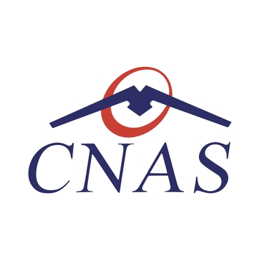 Concurs pentru trei posturi de specialişti IT care să dezvolte proiecte informatice pentru CNAS