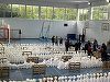 ALEGERI PREZIDENŢIALE 2025 – 42 de sesizări privind posibile incidente electorale, pe durata campaniei, 53% vizând afişajul electoral / A început transportul materialelor electorale către secţii / Birourile de Evidenţa Populaţiei, deschise