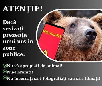 Prahova: Peste 20 de mesaje RO-Alert transmise, în luna mai, după ce urşii şi-au făcut apariţia în zone locuite de oameni / Recomandările autorităţilor 