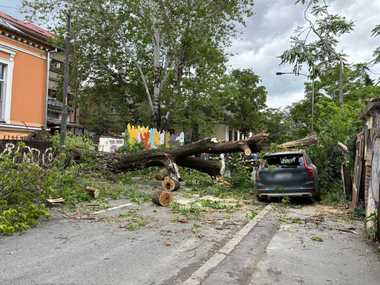 Copac căzut pe două maşini, pe un gard şi pe şosea, în Sectorul 1 din Bucureşti/ Nu sunt victime/ Traficul, oprit - FOTO, VIDEO