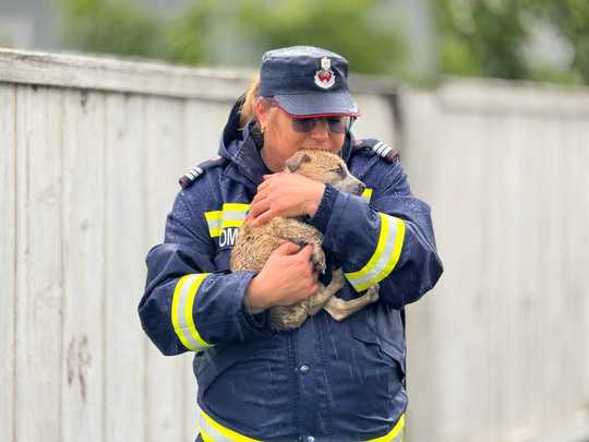 FOTO: ISU Botoşani