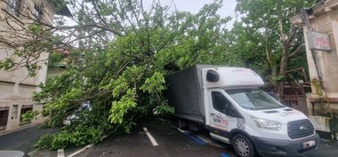 Trafic oprit pe o stradă din Sectorul 1 al Capitalei, după ce un copac a căzut peste patru autovehicule parcate/ A fost avariată şi o conductă de gaze - FOTO
