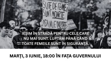 Miting de solidaritate cu femeile victime ale abuzului, marţi, în faţa Guvernului. Organizatorii cer incriminarea femicidului ca infracţiune distinctă şi obligativitatea evaluării riscului în toate cazurile de violenţă domestică 