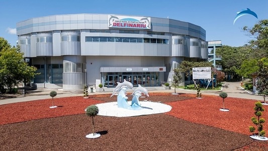 Constanţa: Delfinariul se redeschide după finalizarea lucrărilor de modernizare a bazinelor. Spectacolele vor fi reluate de duminică, inclusiv cu delfini din Ucraina  - FOTO
