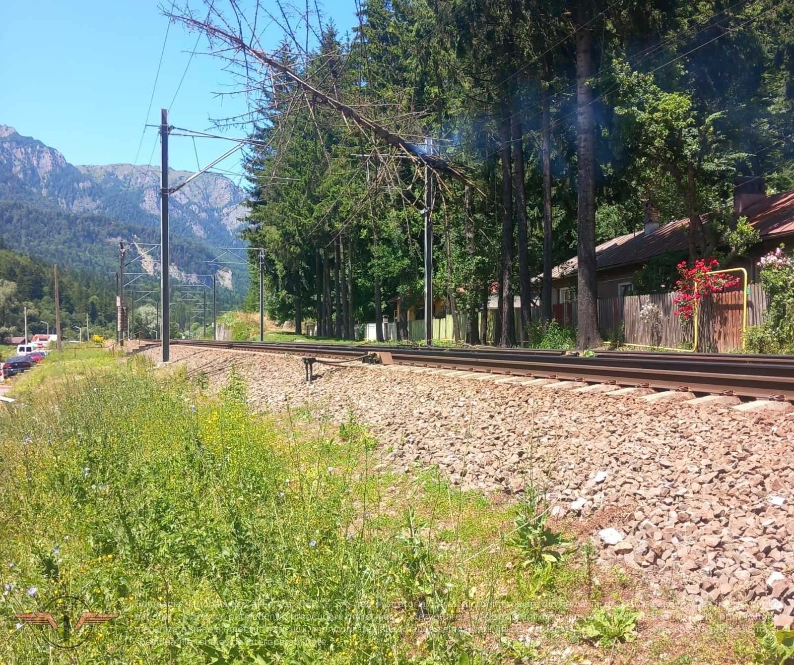 Traficul feroviar, întrerupt între Sinaia şi Buşteni după ce un copac a căzut pe firele electrice