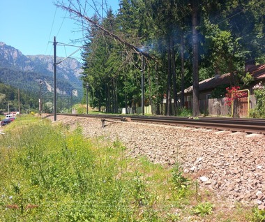 Traficul feroviar, întrerupt între Sinaia şi Buşteni după ce un copac a căzut pe firele electrice
