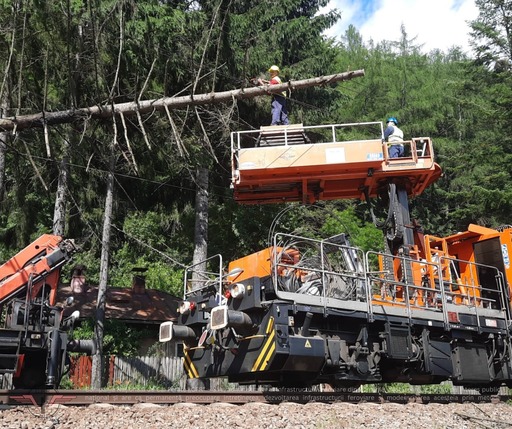 UPDATE - Traficul feroviar, întrerupt între Sinaia şi Buşteni după ce un copac a căzut pe firele electrice/ Circulaţia trenurilor, reluată pe ambele fire/ 15 trenuri înregistrează întârzieri - FOTO