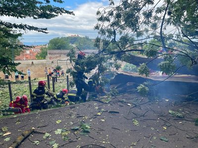 Primăria Braşov, după decesul bărbatului peste care a căzut un copac: Investigaţiile preliminare arată că arborele în cauză era verde, fără semne exterioare de degradare sau pericol iminent. Vorbim despre un eveniment absolut imprevizibil