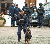 O panteră neagră a cărei prezenţă a fost semnalată la Ruse, în Bulgaria, în apropierea graniţei, ar fi fost văzută în România