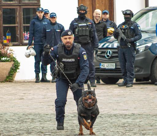 O panteră neagră a cărei prezenţă a fost semnalată la Ruse, în Bulgaria, în apropierea graniţei, ar fi fost văzută în România