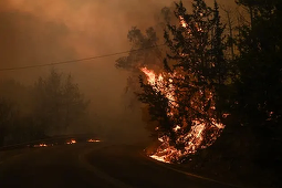 MAE - În zilele următoare va creşte riscul de incendii în Grecia. În cazul în care cetăţenii români primesc alerte telefonice din partea Serviciului 112, să urmeze instrucţiunile pentru evitarea zonelor afectate sau pentru evacuări