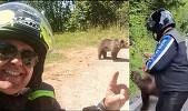 Italianul ucis de o ursoaică pe Transfăgărăşan postase, cu o zi înaintea atacului, fotografii cu urşi pe marginea drumului. Turistul se oprise chiar sub un panou care interzicea hrănirea animalelor/ Ursoaica a fost împuşcată, iar puii s-au dus în pădure