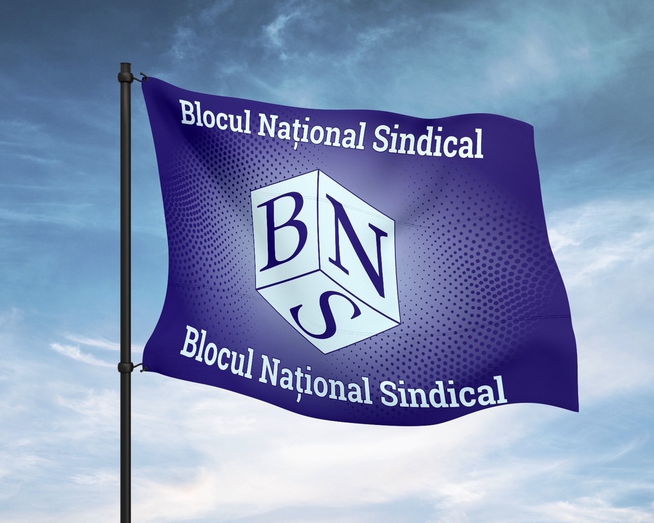 BNS propune partidelor mai multe amendamente la pachetul de măsuri fiscale: Subvenţia să se acorde partidelor numai în anii în care România se încadrează în ţintele de deficit bugetar, suma forfetară pentru parlamentari, redusă la jumătate
