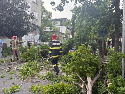 Bilanţ IGSU în urma furtunii - O femeie a murit, la Otopeni, în propria locuinţă, peste care a căzut acoperişul unei alte clădiri/ Două persoane, la spital după ce au fost lovite de crengi căzute/ Peste 130 de apeluri în aşteptare în dispeceratul ISU B-IF