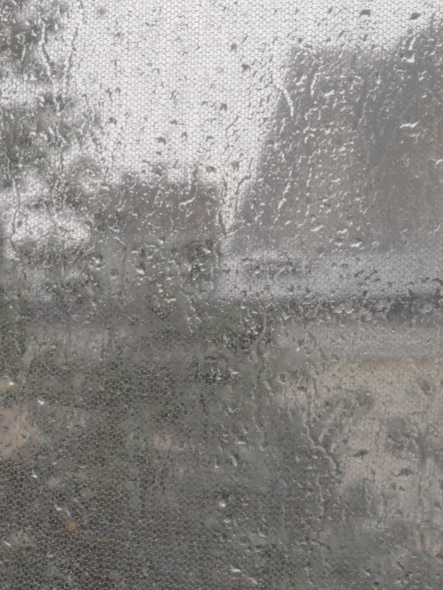 Cod roşu de vijelie, în judeţele Constanţa şi Tulcea