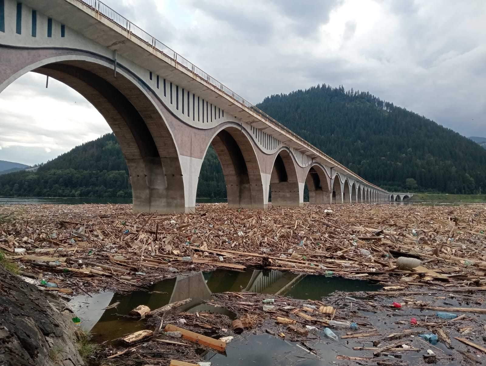 Arafat: În lacul Izvorul Muntelui din Neamţ există o acumulare foarte mare de buşteni şi animale moarte / Lacul este în administrarea Hidroelectrica care trebuie să colaboreze cu Romsilva şi Apele Române pentru curăţarea acestuia 